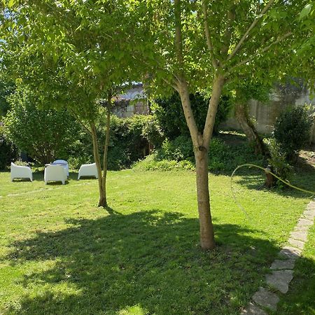 Clos Des Chardons - Le Jardin Saint-Aignan  Exteriér fotografie